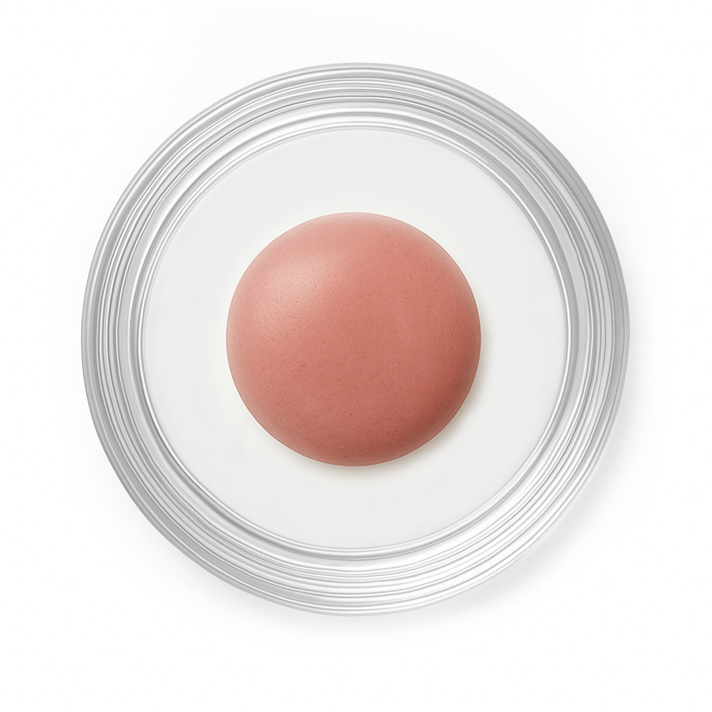 Tester Blush Stick Anytime