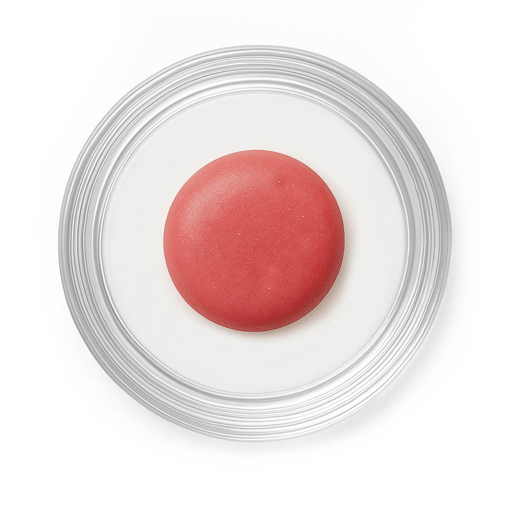 Tester Blush Stick Salsa